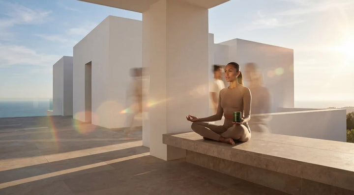 Gut Health as the Foundation of Long-Term Wellness